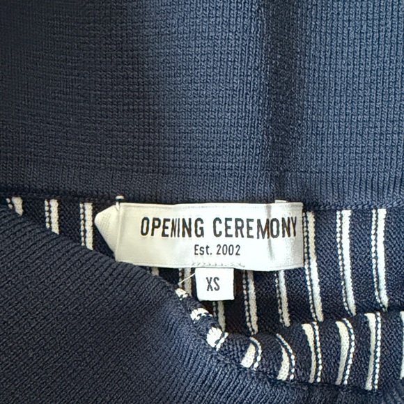 Elegant Opening Ceremony Pleated Skirt - Picture 5 of 6